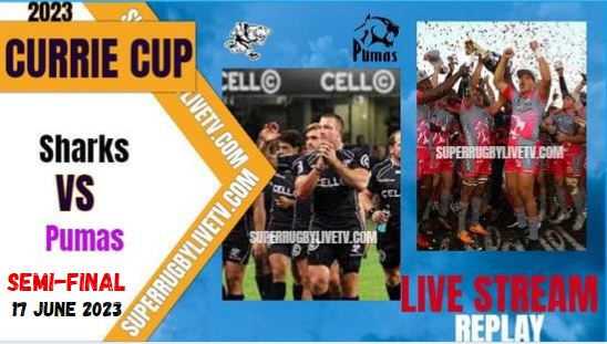 Pumas vs Sharks Currie Cup Semifinal Rugby Live Stream
