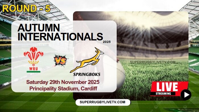 Wales Vs South Africa Live Stream & Replay 2025: Autumn International Rugby
